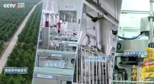 一季度營(yíng)業(yè)總收入增長(zhǎng)達(dá)36 ,洽洽食品迎來(lái) 開(kāi)門(mén)紅