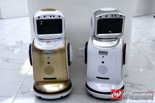 懷化經(jīng)開區(qū) 利碩科技智能電子產(chǎn)品走進非洲 供不應(yīng)求 大量需要工人